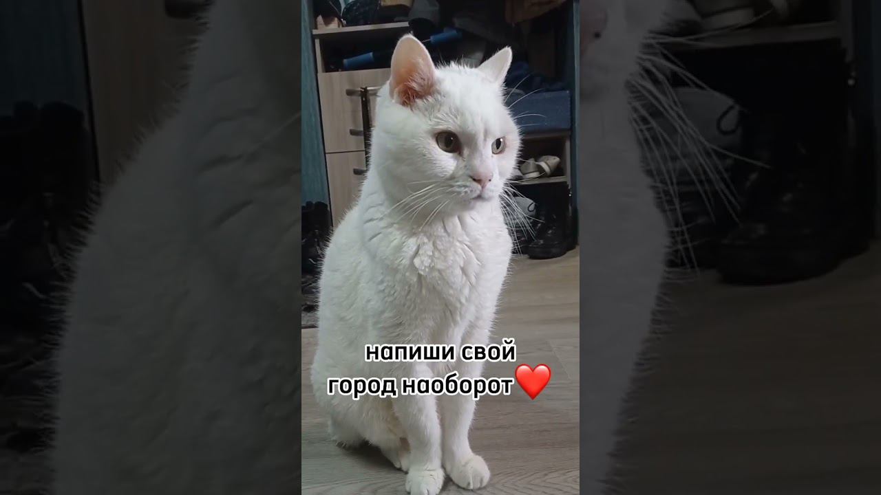 шрифт как у локи мура?) смотреть онлайн