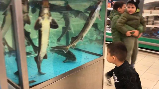 Осетрина и Стерлядь в Окей город Астрахань. Цена! смотреть онлайн