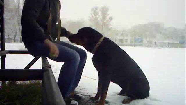 Команда АПОРТ часть 1 смотреть онлайн