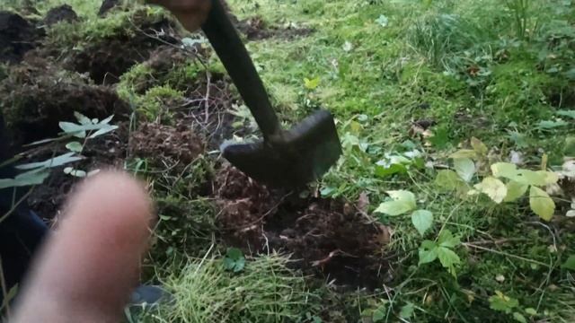 #80 Свинцовая лихорадка. День 2. С помощницами. смотреть онлайн