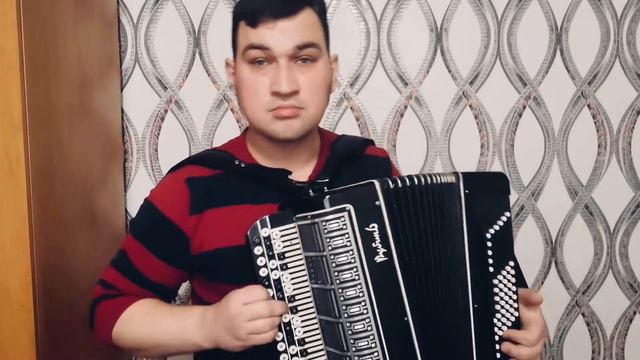 Love Theme from "The Godfather" / саундтрек из фильма "Крёстный отец" / на баяне смотреть онлайн