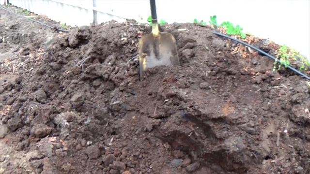 Торф и перегной- в чём разница и что лучше для растений? смотреть онлайн