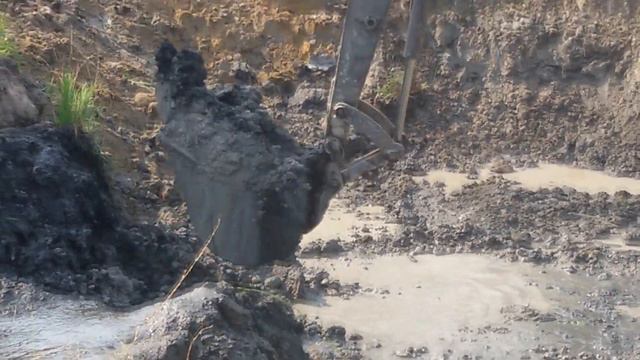 Викопав ставок на городі. Минуло 7 років