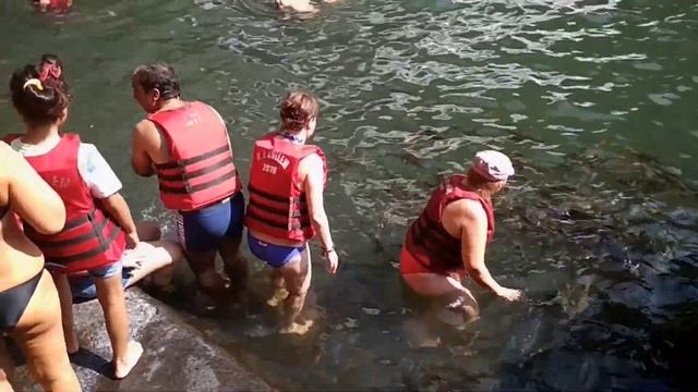 ИНДИЯ.ГОА.ЭКСКУРСИЯ ГОА ЗА ОДИН ДЕНЬ.ВОДОПАД ДУДХСАГАР.ПЛАНТАЦИЯ СПЕЦИЙ. смотреть онлайн