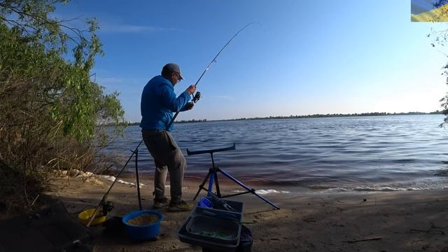 #рыбалка #фидер #лещ Утренний лещ в городе!² смотреть онлайн