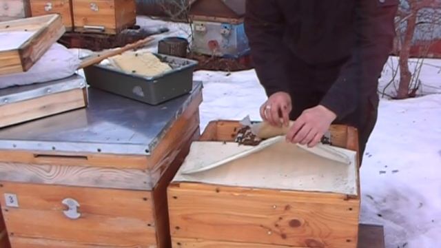 Первая весенняя ревизия пчел и подкормка канди с нозематом смотреть онлайн