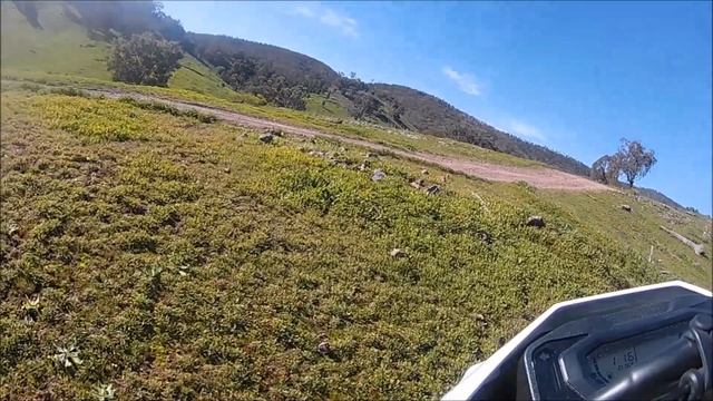 2020 Honda CT125 Hunter Cub Vs Kawasaki KLX230 - Steep Dirt Track Hill Climb! смотреть онлайн