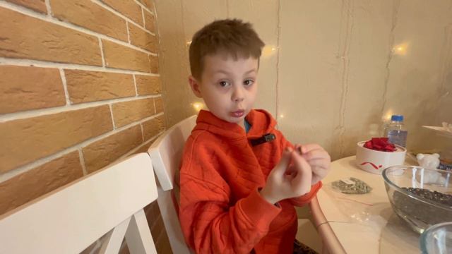 Выращиваем микрозелень