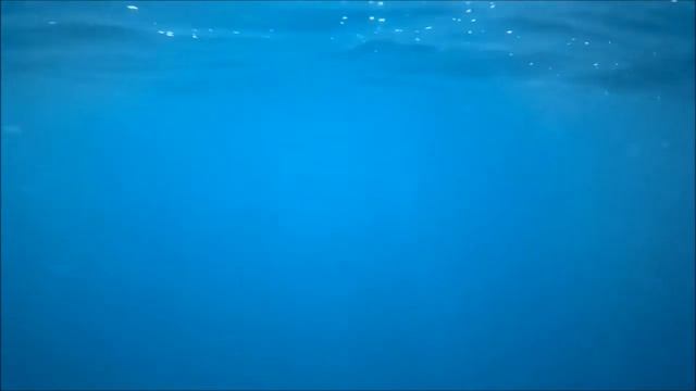 Одиночное мотопутешествие на Чёрное море в 2020г. Часть 3. Морская прогулка. смотреть онлайн