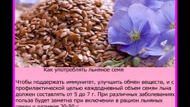 VVVV Семена льна- польза, лечебные и полезные свойcтва смотреть онлайн