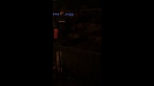 Устраняем запахи в свинарнике (Ленинградская область)