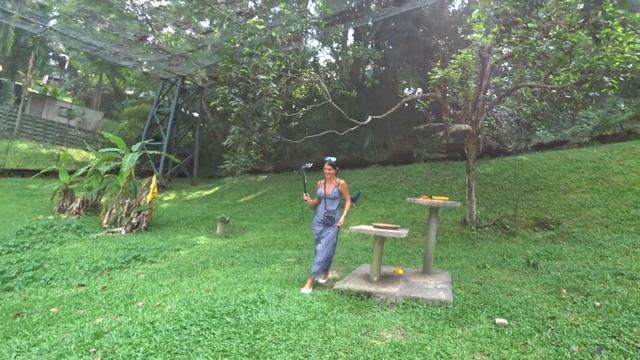 Куала Лумпур за 1 день. Реально?  Автобус BIG BUS TOUR KL. Парк Птиц и Площадь Мердека VLOG #3