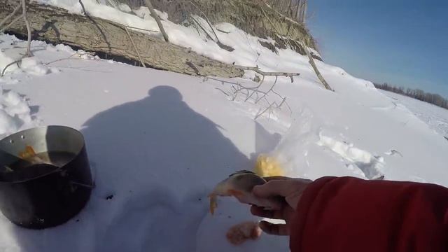 Поймал ГОРБАЧЕЙ и сварил уху! Безмотылка рулит! смотреть онлайн