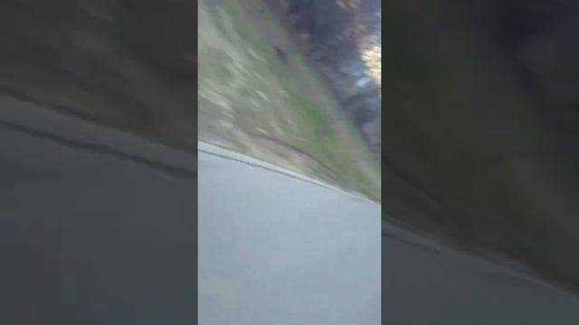 24.04.2022 парк 50 летия октября смотреть онлайн