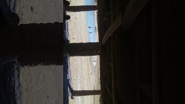 ч1.Египет.Верблюды Шарм-эш-Шейх смотреть онлайн