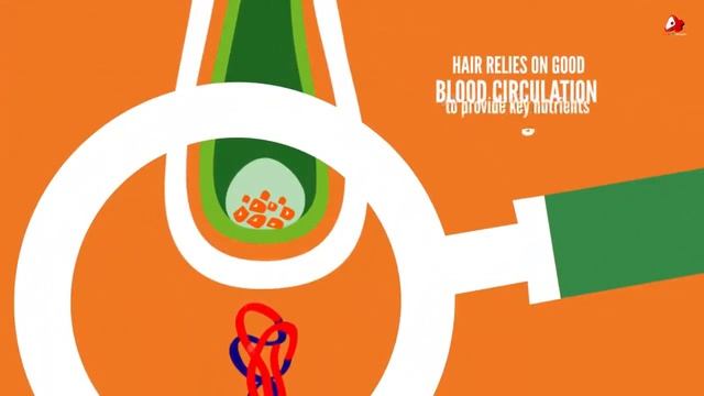 Priorin Bayer смотреть онлайн