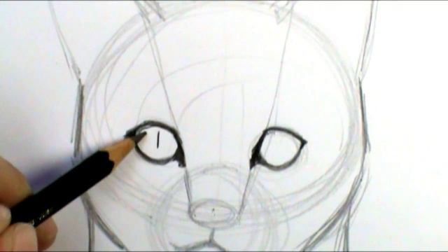 How to draw a cat face смотреть онлайн