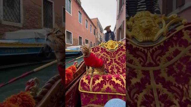 Путешествия кота . смотреть онлайн