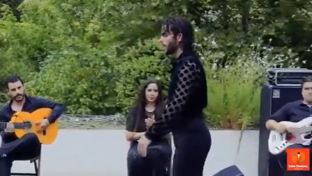 Festival flamenco mont d marsan смотреть онлайн