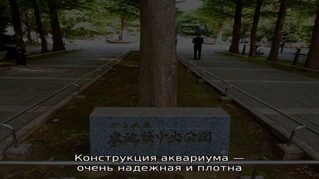 Как добраться до тц авиапарк смотреть онлайн