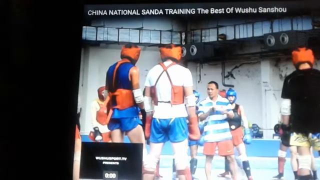 Sanda Wushu Sanshu