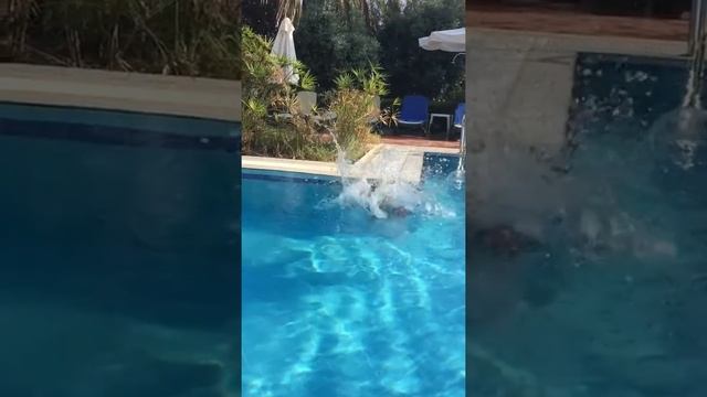 Как научить ребёнка нырять? смотреть онлайн