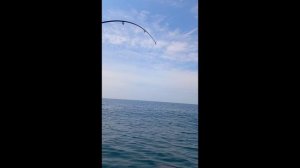 Очень удачный день рыбака.