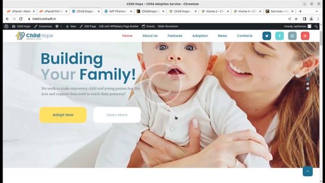 Child Adoption Service Website | NGO, Charity, Nonprofit Website Theme | ChildHope WordPress Theme смотреть онлайн