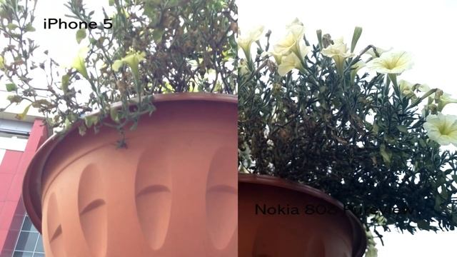 iPhone 5 vs Nokia 808 PureView смотреть онлайн