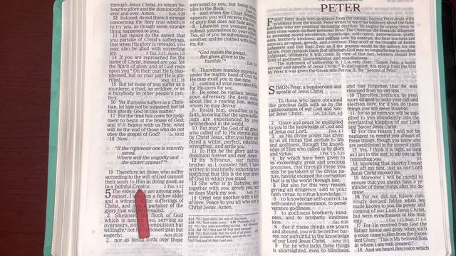 11/24/22, Psalm 120, Proverbs 24, 1Peter 4:1-19, Hosea 1:1-2:23 Old & New Testament Read смотреть онлайн