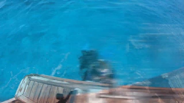 Отдых в Египте. Подводный мир Красного моря. смотреть онлайн