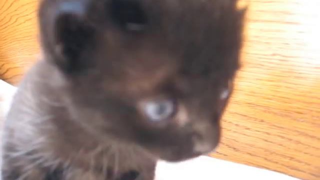 заботливые родители смотреть онлайн