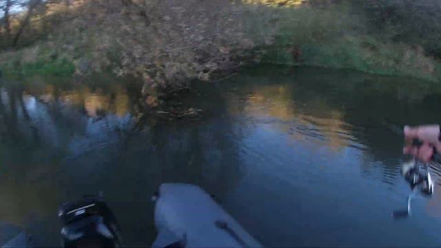 ДУШЕВНАЯ Рыбалка сплавом на лесной речке / Голавль, Окунь смотреть онлайн
