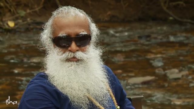 Как твоя жизнь меняется каждые 12 лет? смотреть онлайн