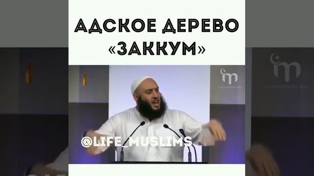 Адское дерево «Заккум» смотреть онлайн