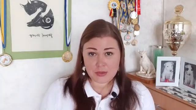 Понос, слабый стул и слизь в кале при натуральном питании собак. смотреть онлайн