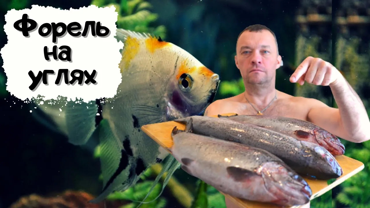 Рыба, запеченая в фольге на углях #мужчина_готовит смотреть онлайн