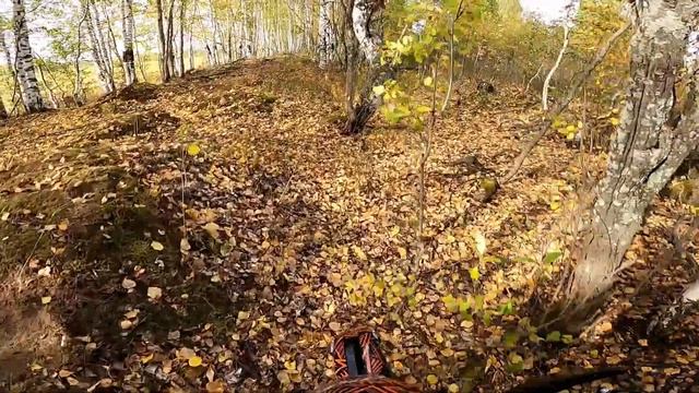 BRZ-5 BZE Z1 В поисках приключений