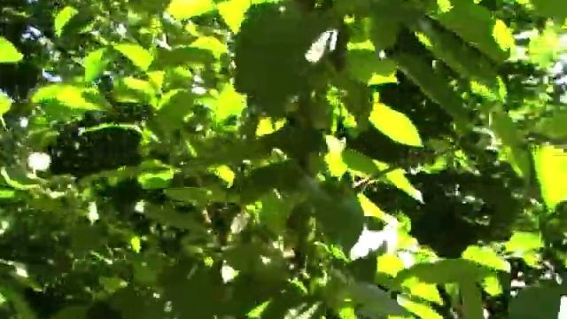 Ремонт 4 смотреть онлайн