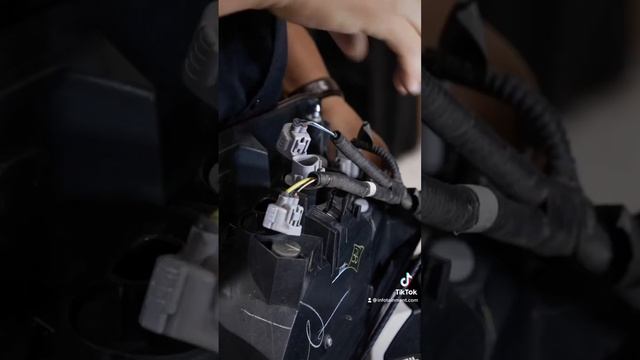 Tacoma Taillight Replacement! - Infotainment.com смотреть онлайн