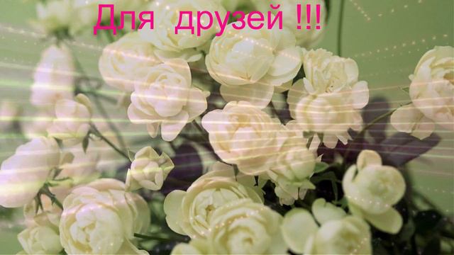 ЦВЕТЫ  ДЛЯ   ДРУЗЕЙ !!! 1