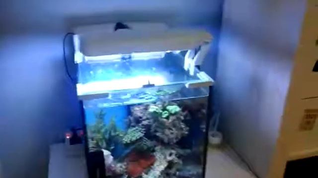 Aquarium Aquael 30L смотреть онлайн