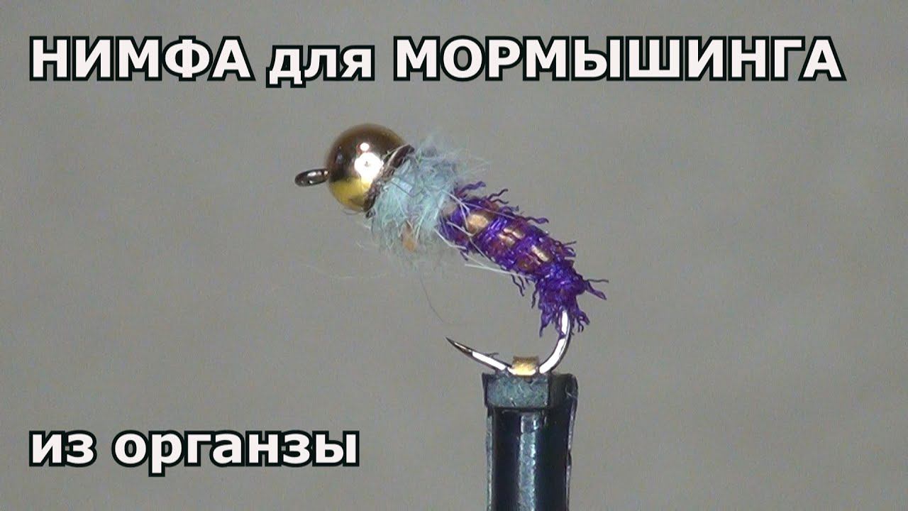 Расшатанные дырочки нимфы нуждаются в тренировке