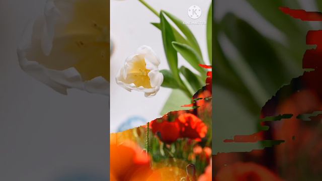 صباح الخير смотреть онлайн