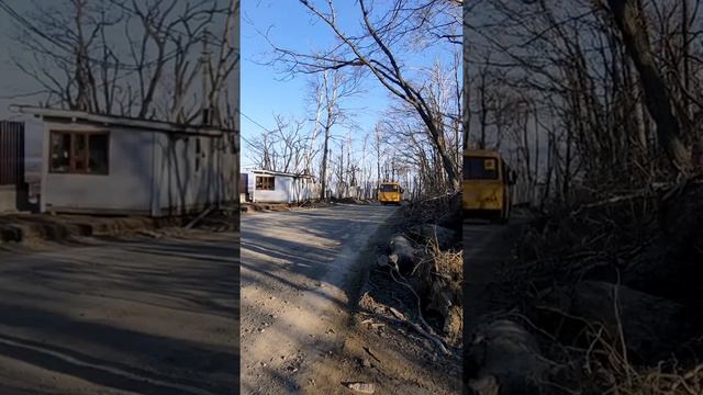 Моё утро (Читает дочь)/СвинGer смотреть онлайн