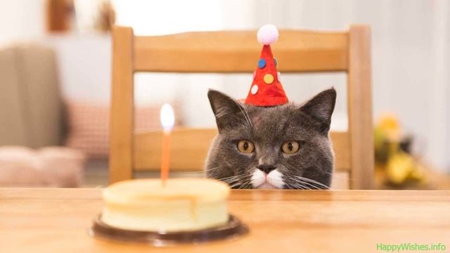 Поздравление с днем рождения (Много радости и...) смотреть онлайн