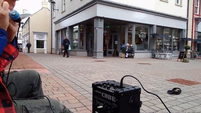 Wellerman harmonica смотреть онлайн