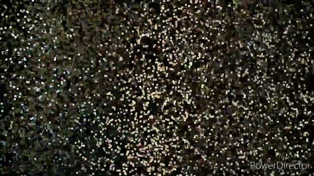 Как я сделал полку для обуви из не нужного поддона смотреть онлайн