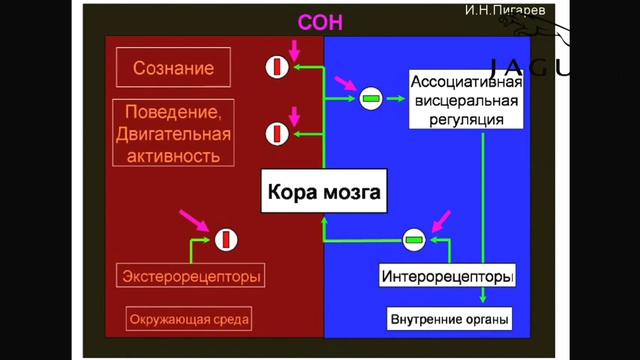 Лекция Ковальзона и Руцковой смотреть онлайн