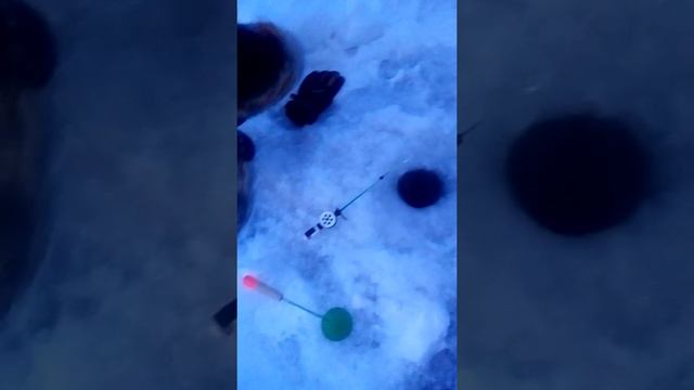 Зимняя рыбалка с Димасом смотреть онлайн